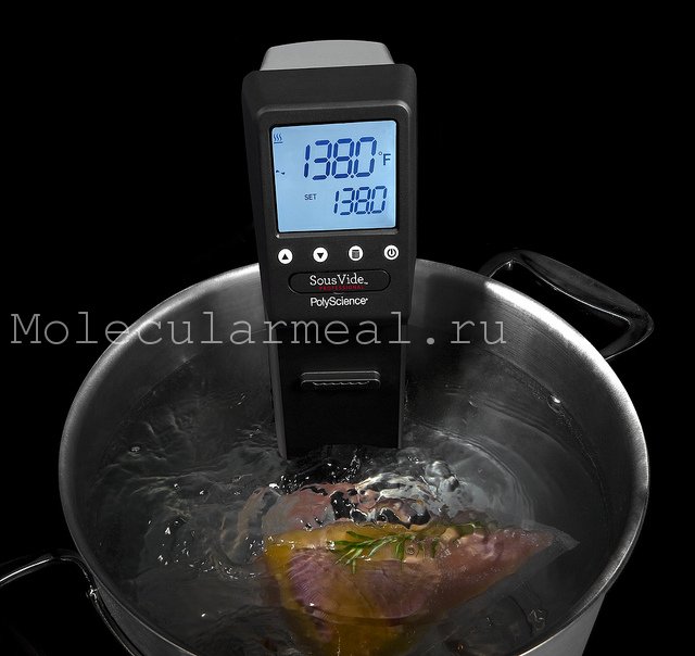 Вакуумная готовка по технологии sous vide в молекулярной кухни