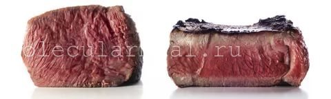 Техника приготовления sous vide завоевает сердца