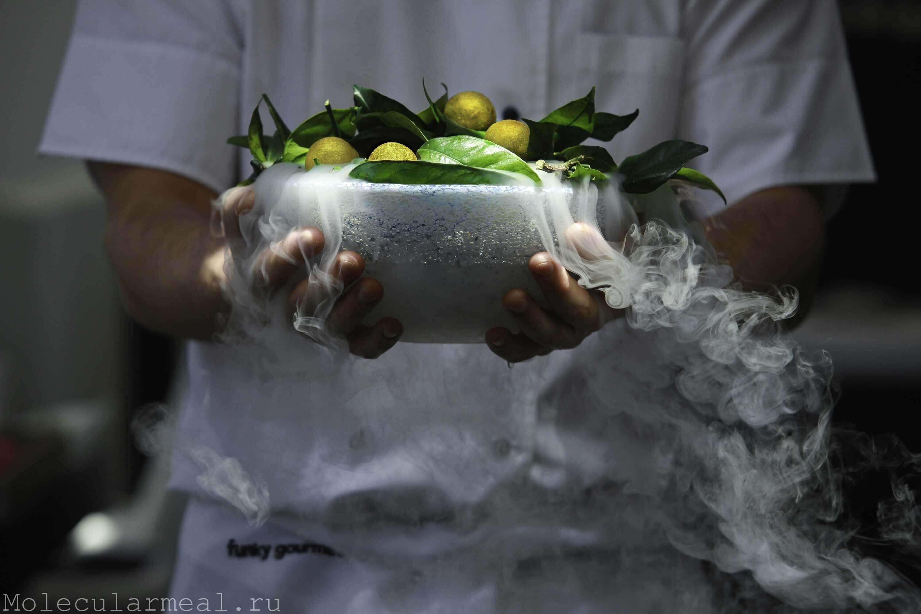 Кулинарное шоу молекулярной кухни